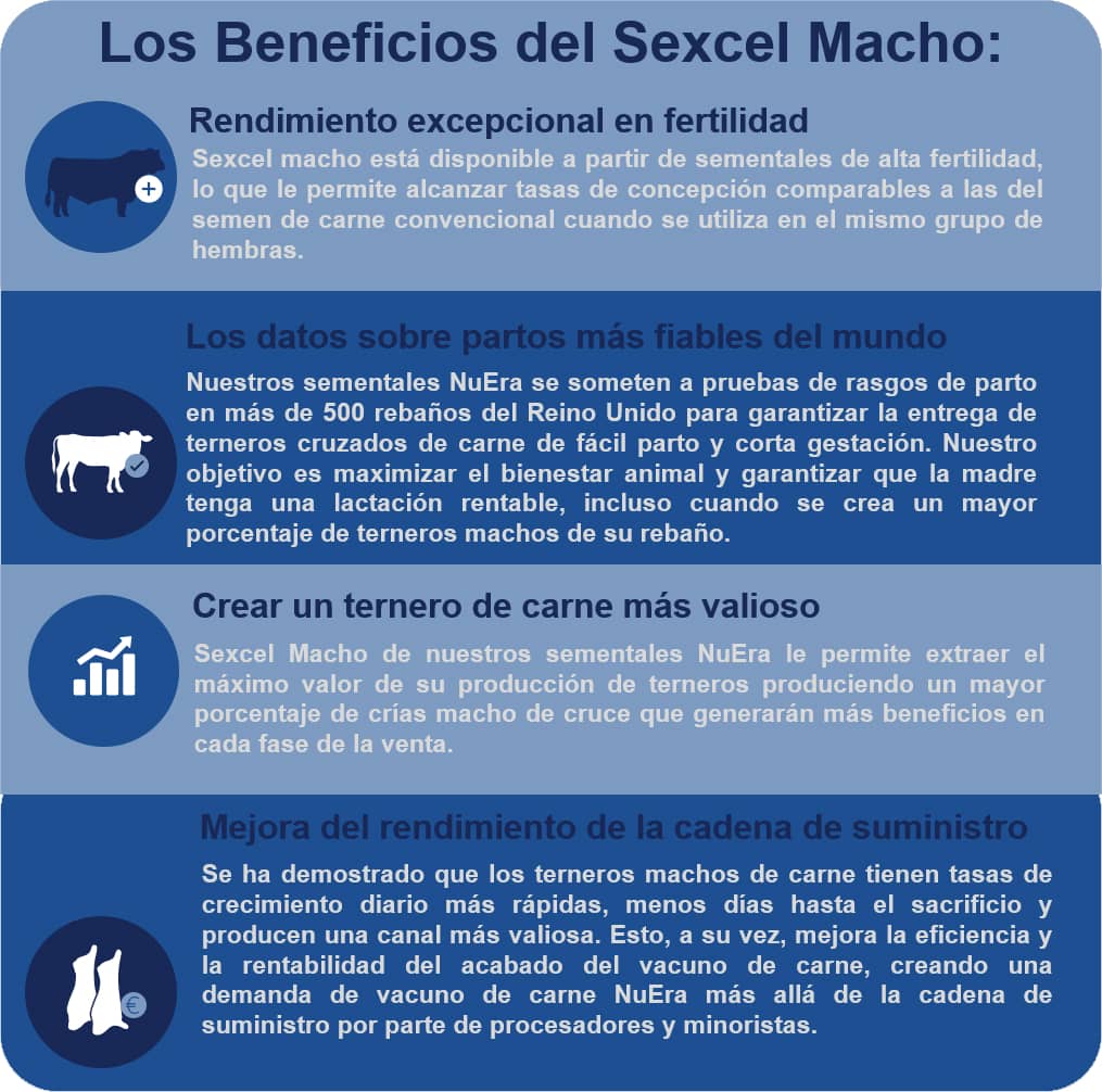 Beneficios de Sexcel Macho