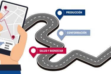 Hoja de ruta para construir su Indice Personalizado