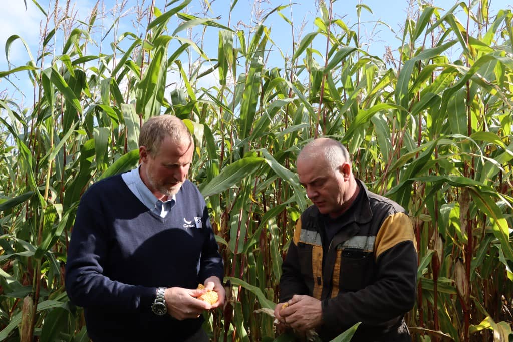 Farm Manager, Paul Robson and Genus ABS Breeding Advisor, Chris Wood