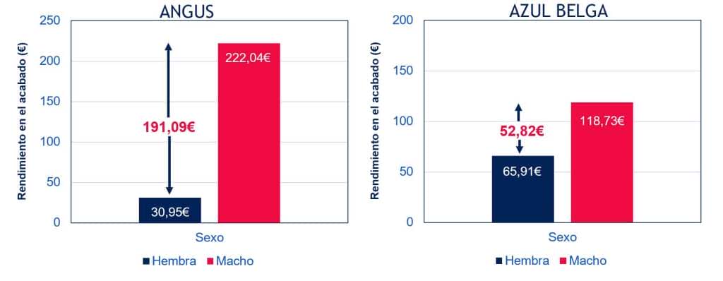 Comparativa del Rendimiento en el acabado entre Angus y Azul Belga