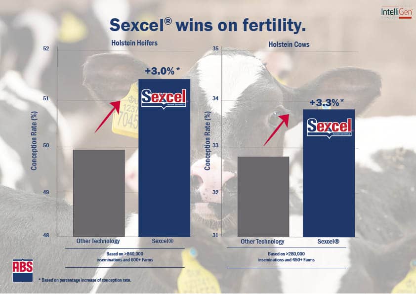 Sexed Semen - ABS Real World Data Final