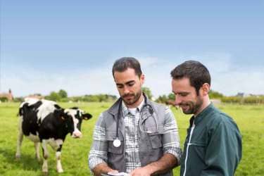 consejos mejorar fertilidad rebaño