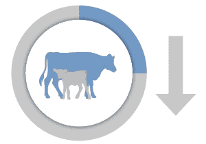 RS10374_beefadvantage_stillbirth_icon