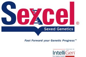 Sexcel-IntelliGen_stacked