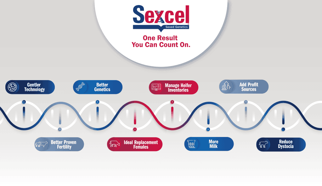 SexcelWhy_Web_DNA-Gradient_1925x1000